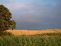 DSCF0044.htm