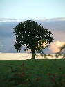 DSCF0045.htm