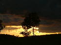 DSCF00466.htm