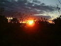 DSCF0047.htm
