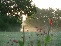 DSCF0049.htm