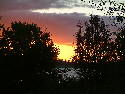 DSCF0051.htm