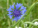 DSCF0075.htm