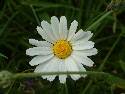 DSCF0076.htm
