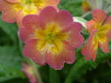 DSCF0084.htm