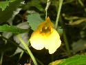 DSCF0139.htm