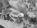 DSCF0246.htm