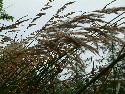 DSCF0262.htm