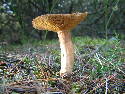 DSCF0538.htm