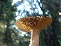 DSCF0542.htm