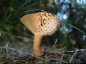 DSCF0543.htm