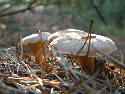 DSCF0547.htm