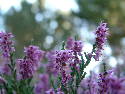 DSCF0561.htm
