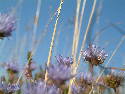 DSCF0572.htm