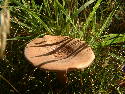 DSCF0583.htm