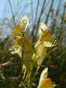 DSCF0591.htm
