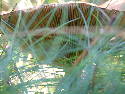 DSCF0616.htm