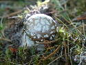 DSCF0637.htm