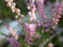 DSCF0639.htm