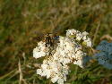 DSCF0640.htm