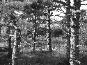 DSCF0645.htm