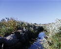 PIC00026.htm