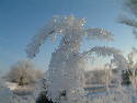 Winter 2005 009.htm