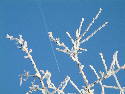 Winter 2005 020.htm