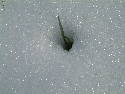 Winter 2005 122.htm