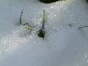 Winter 2005 125.htm