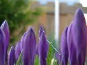 ostern 2005 078.htm