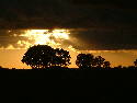 DSCF0037.htm