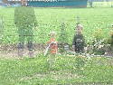 DSCF00131.htm