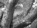 DSCF02371.htm