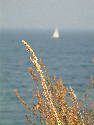 28.09.2003 011.htm