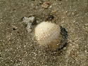 DSCF0009.htm