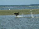 DSCF0030.htm