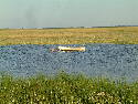 DSCF0162.htm