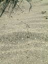 DSCF0166.htm
