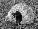 DSCF0237.htm