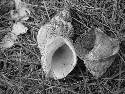 DSCF0250.htm
