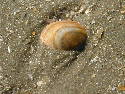 DSCF0389.htm