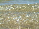 DSCF0396.htm