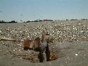 DSCF0411.htm
