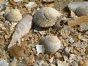 DSCF0444.htm