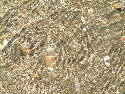 DSCF0495.htm