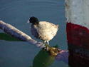 PC070063.htm