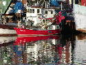 PC070083.htm