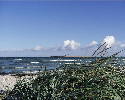 PIC00027.htm