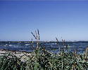 PIC00028.htm